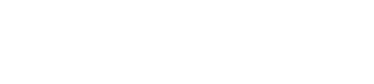 WDC Logo